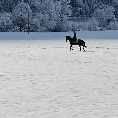 Apartman Marie Hermagor-Pressegger See