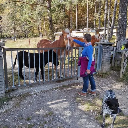 Marie Apartman Hermagor-Pressegger See