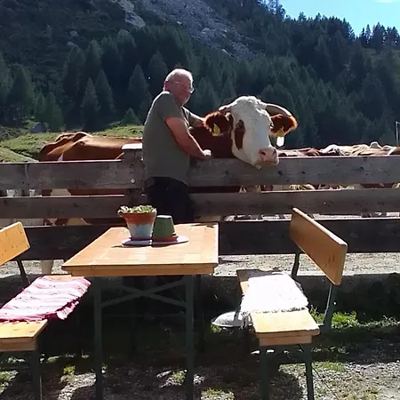 Апартаменты Marie