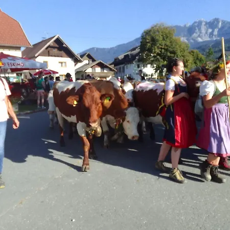 Marie Хермагор