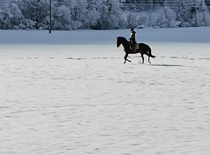 דירה Marie הרמגור