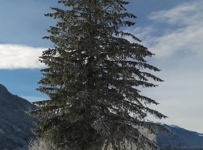 Marie Apartment Hermagor-Pressegger See