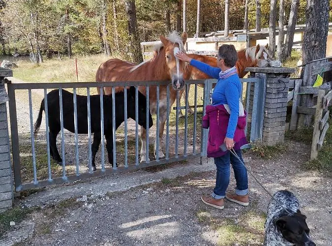 Marie דירה הרמגור